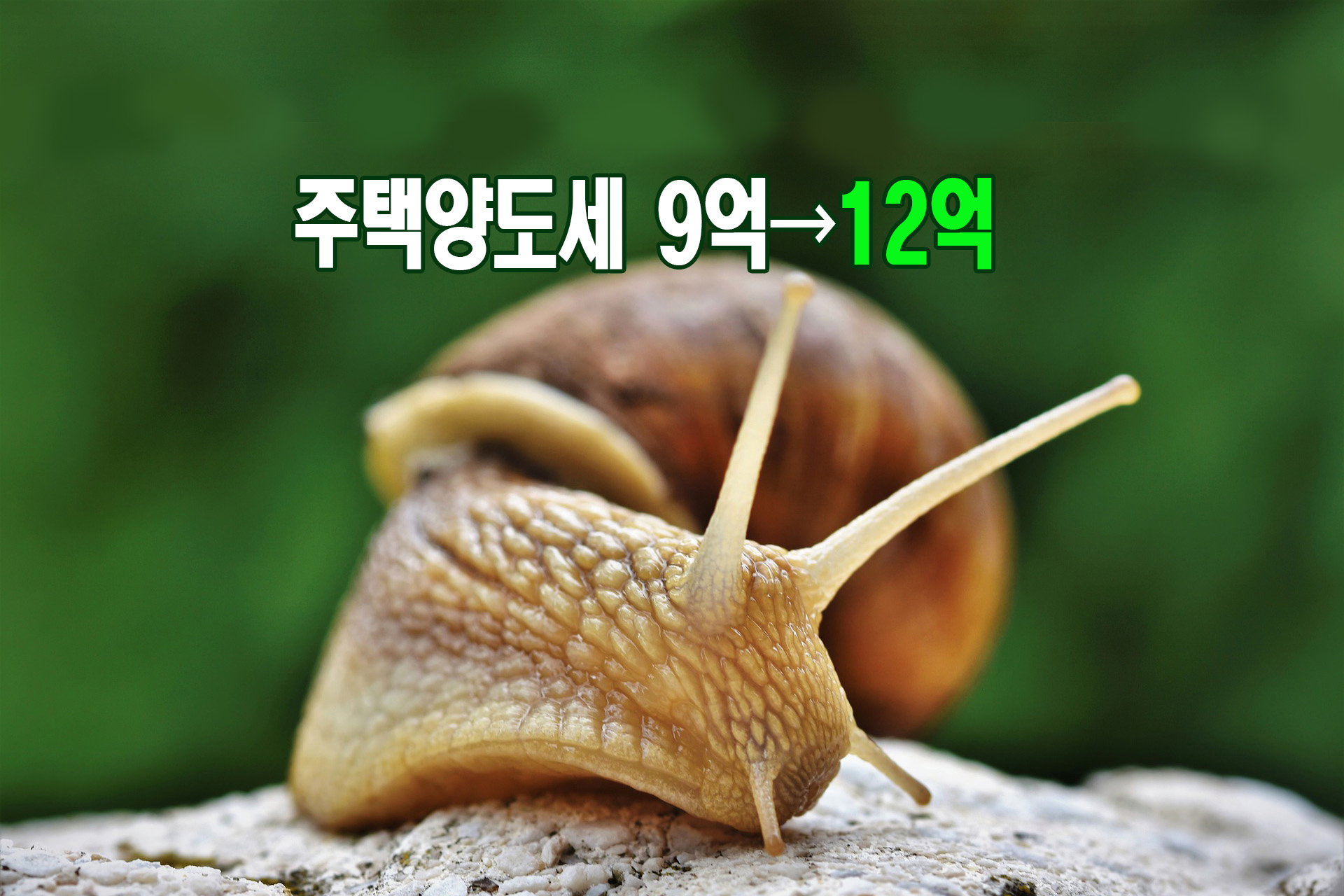  소득세법 개정의결 1주택자 9억에서 12억 상향조정 양도세 0원