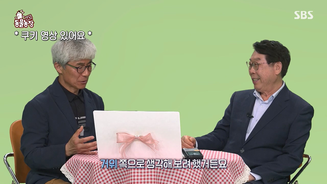 TV 동물농장.E1172.240520p-NEXT.mp4_20240519_163727.205.jpg