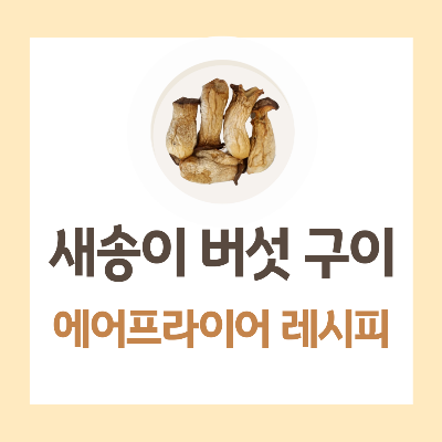 새송이 버섯 통구이 구이 선택 영양성분 에어프라이어 요리 레시피