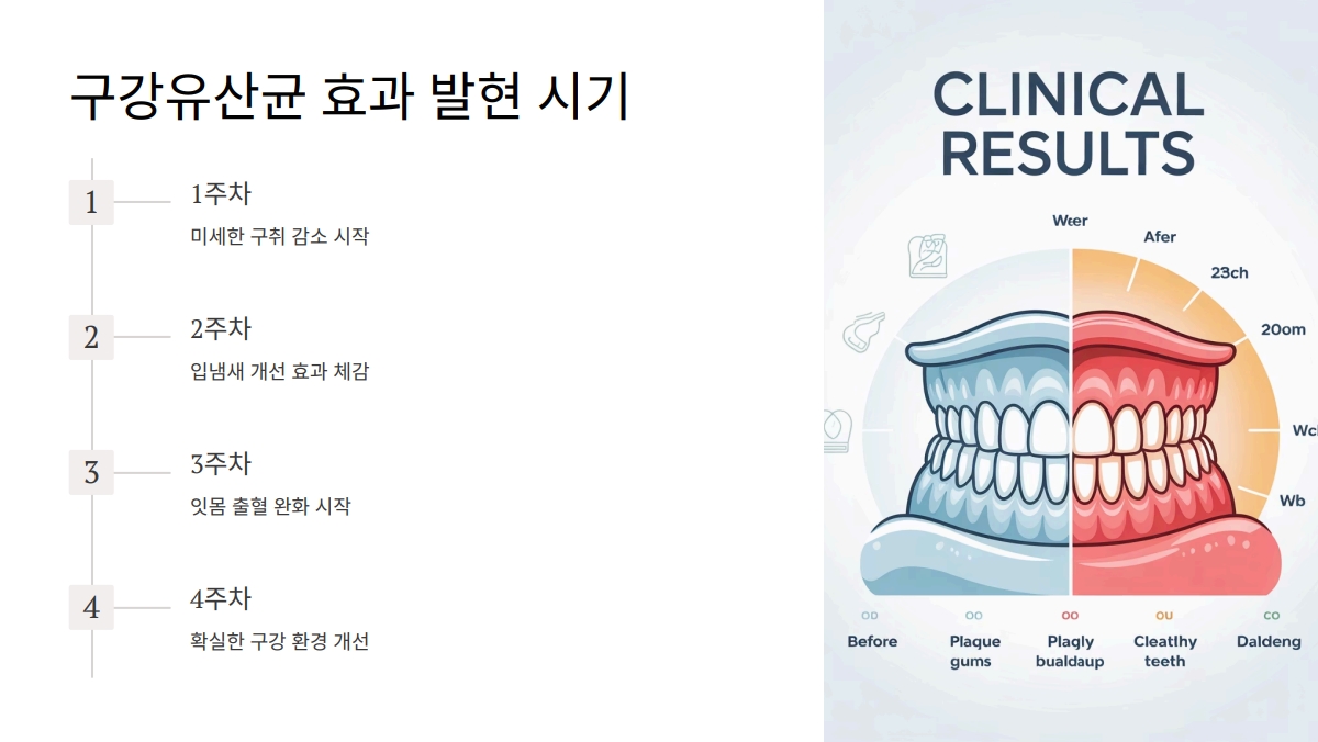 구강유산균 추천