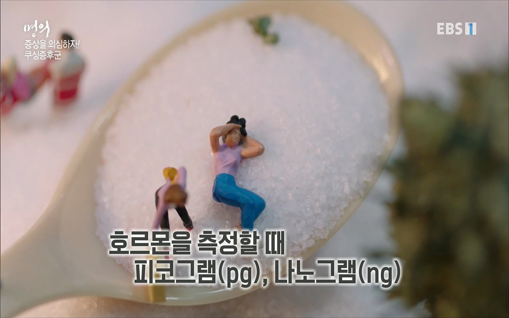 EBS 명의 헬스케어 - TV - 교육의 중심 EBS내 몸을 지배하는 7가지 호르몬 2부, 증상을 의심하자!.mp4_20220711_195843.510.jpg