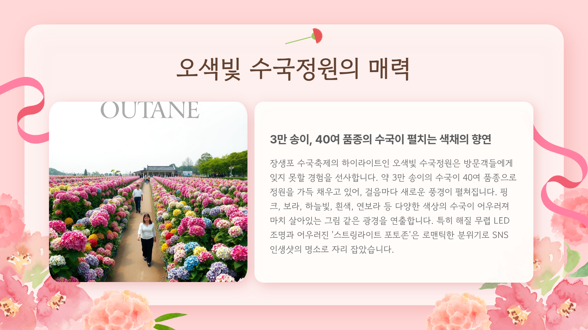 2025 울산 장생포 수국축제