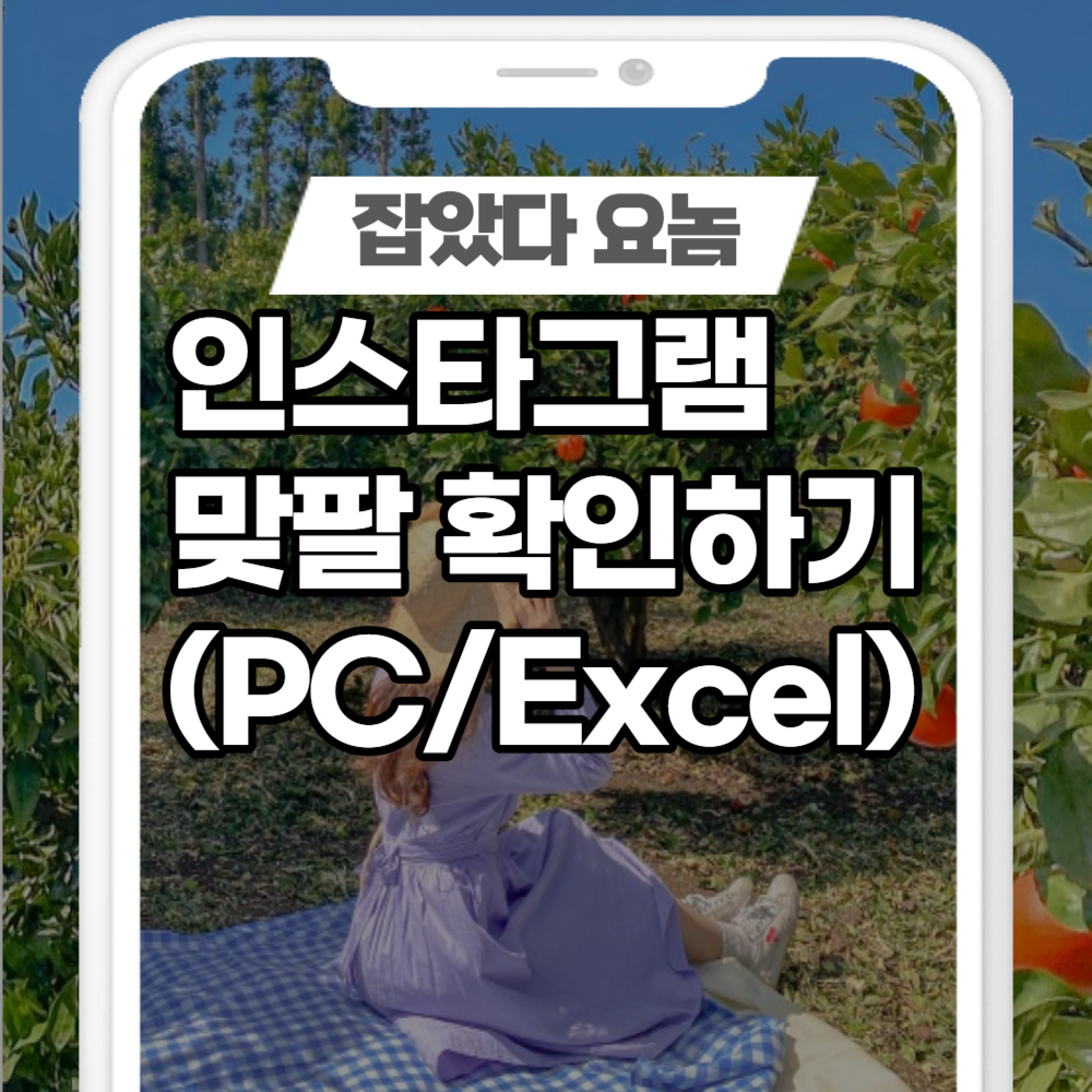  인스타그램 PC에서 팔로잉 팔로워 확인하는 방법 (엑셀/excel)