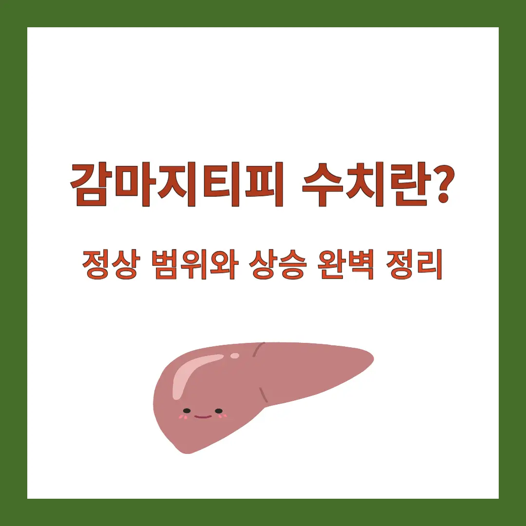 감마지티피 수치란? 정상 범위와 상승 원인 완벽 정리