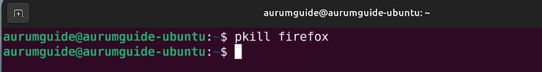 Ubuntu pkill 명령어