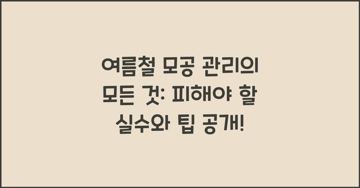 여름철 모공 관리의 모든 것: 피해야 할 실수
