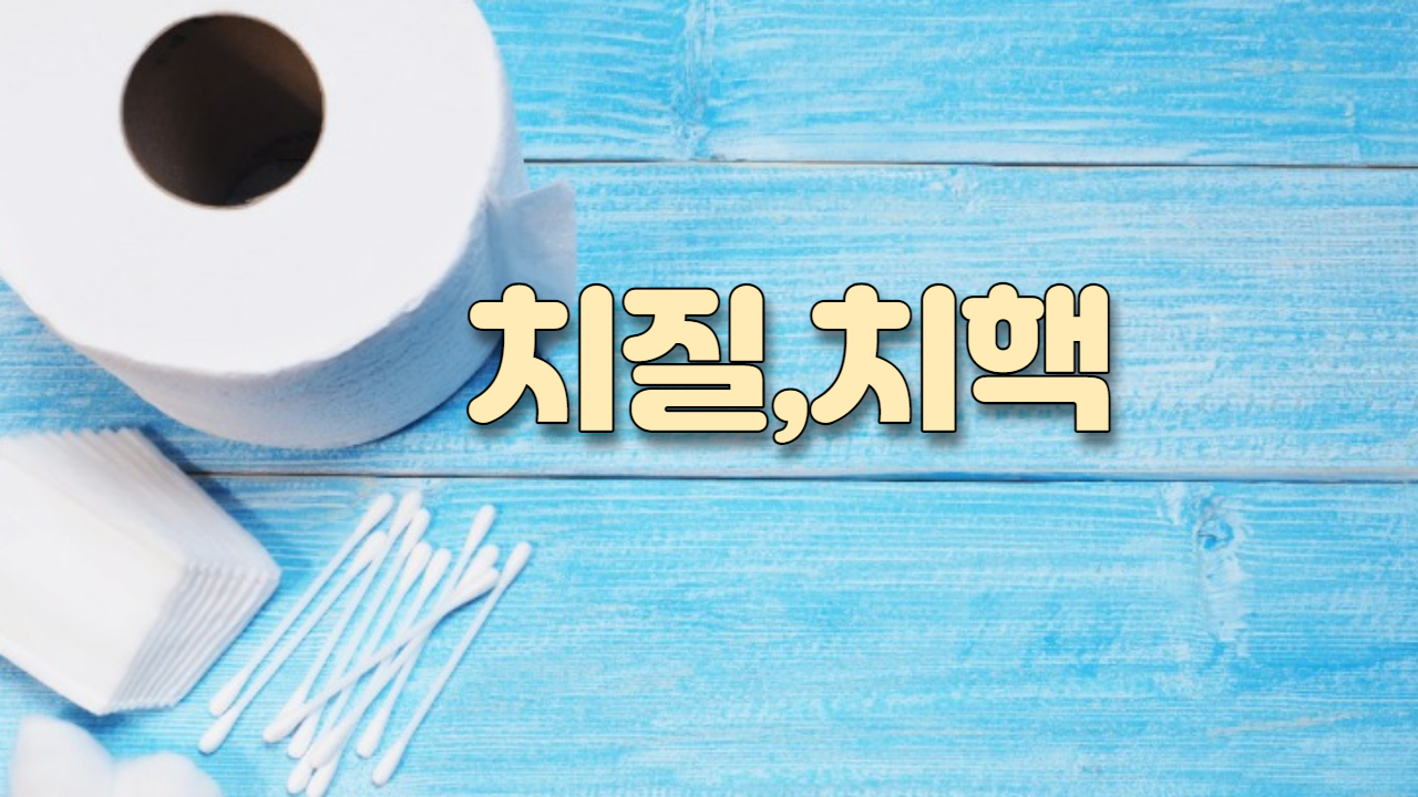  치질(치핵)
