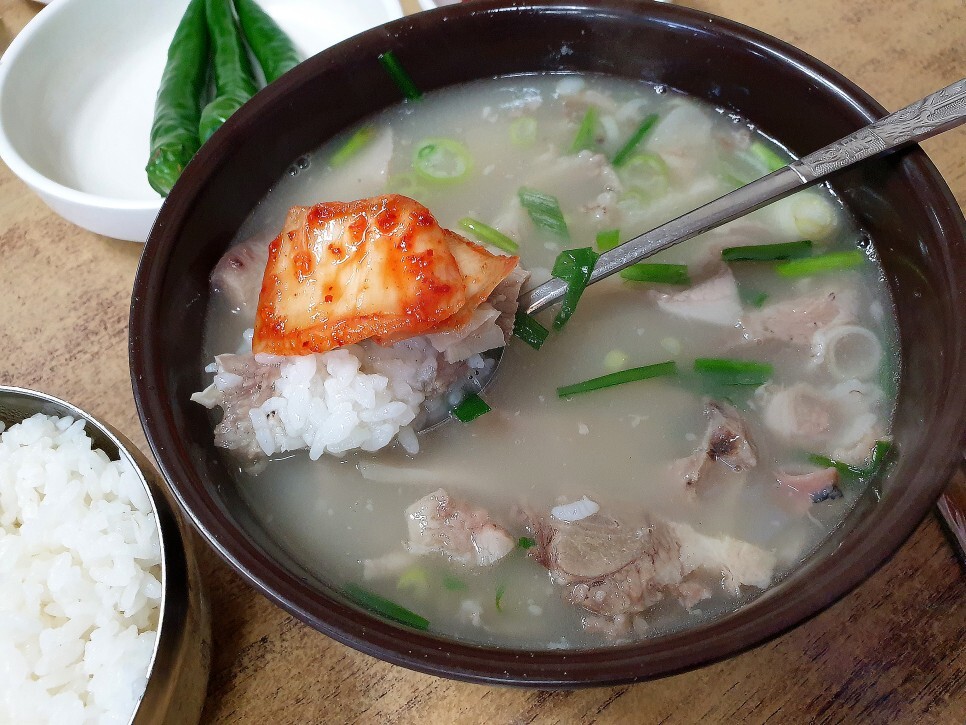 대구 맛집탐방 북부정류장, 서대구고속터미널 근처 국밥 진배기원조할매국밥 만평점 후기 - 진배기원조할매국밥 만평점 후기 대구 맛집탐방 북부정류장, 서대구고속터미널 근처 국밥 진배기원조할매국밥 만평점 후기 - 진배기원조할매국밥 만평점 후기