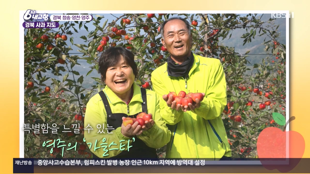 6시 내고향.E7907.231108p.H264-F1RST.mp4_20231108_204729.418.jpg