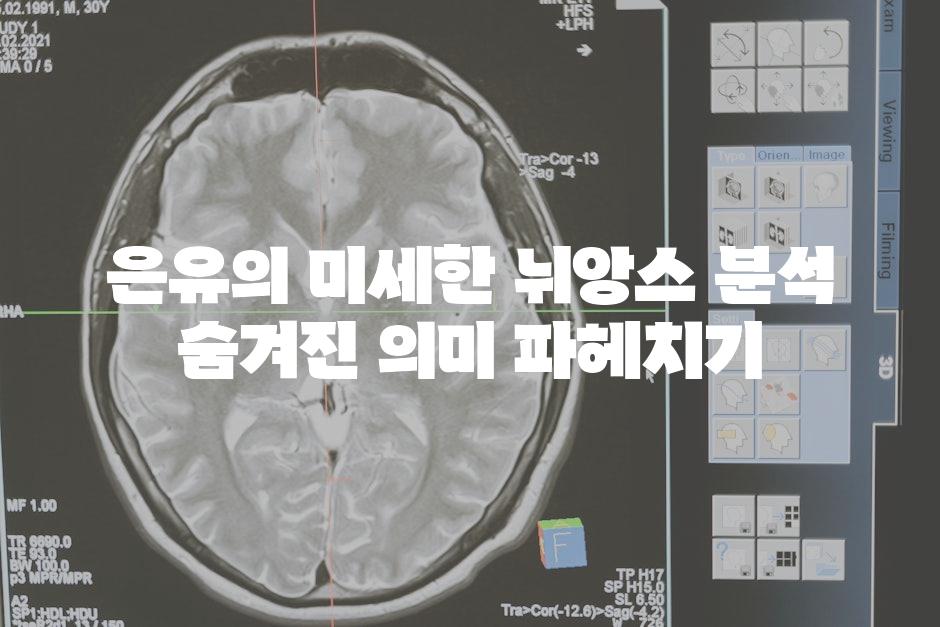 은유의 미세한 뉘앙스 분석 숨겨진 의미 파헤치기