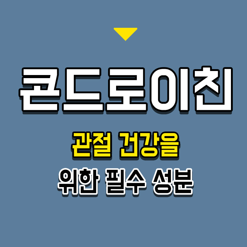 콘드로이친 - 관절 건강을 위한 필수 성분