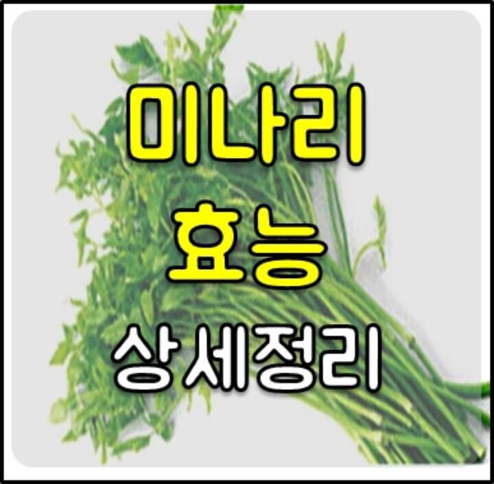 미나리 효능 썸네일