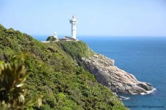 거문도 배편 시간표 예매 요금_4