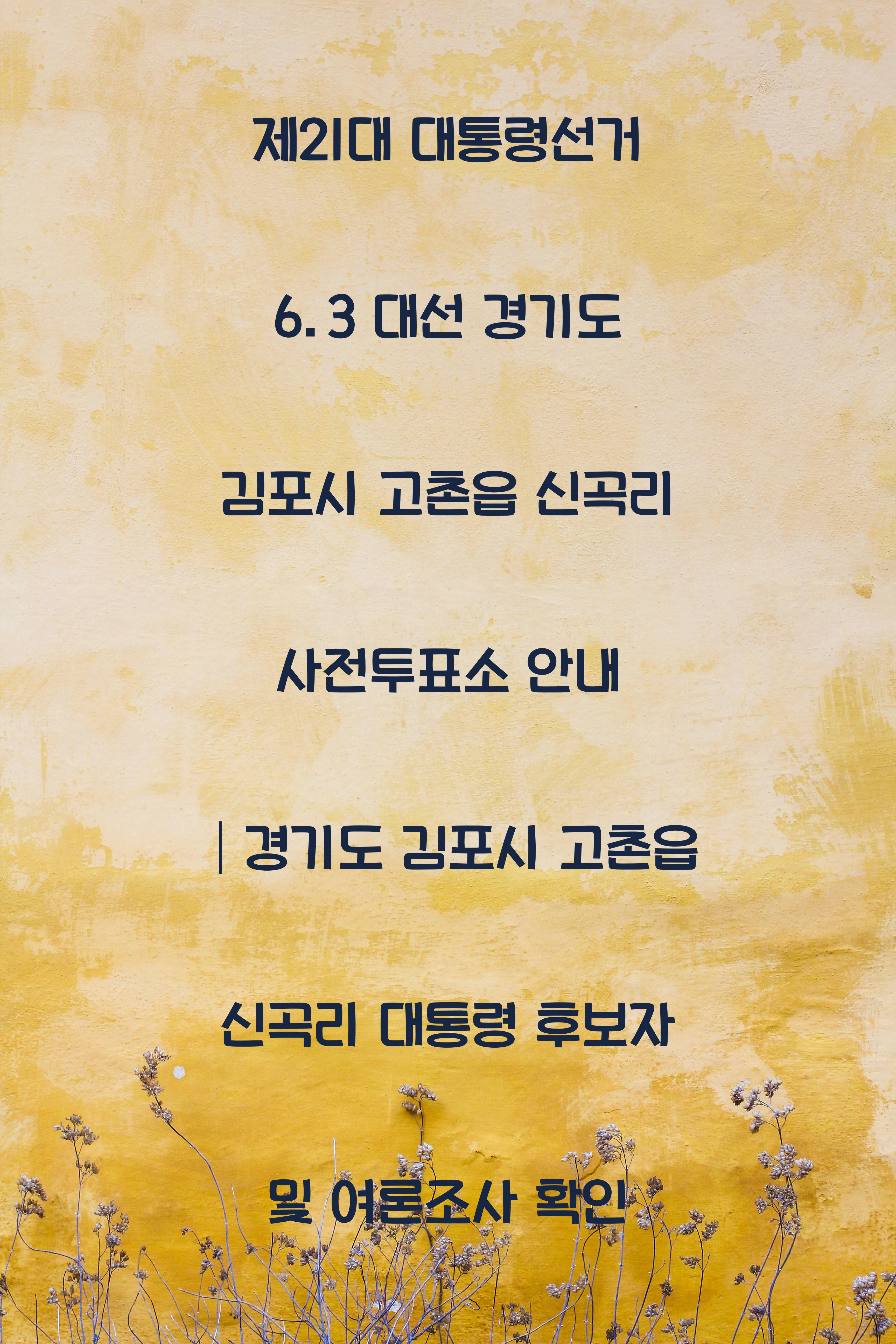 제21대 대통령선거 6.3 대선 경기도 김포시 고촌읍 신곡리 사전투표소 안내 │경기도 김포시 고촌읍 신곡리 대통령 후보자 및 여론조사 확인