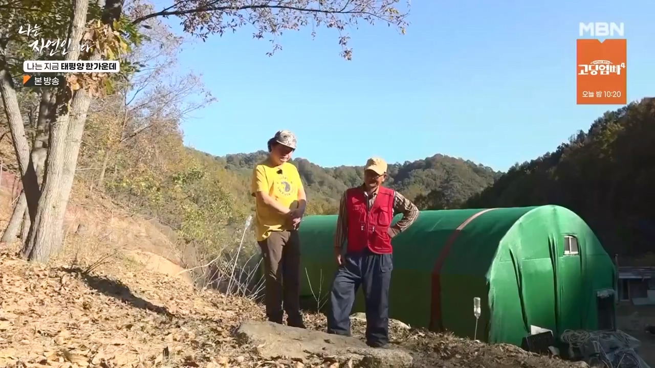 나는 자연인이다.E581.231123p-NEXT.mp4_20231123_200713.674.jpg