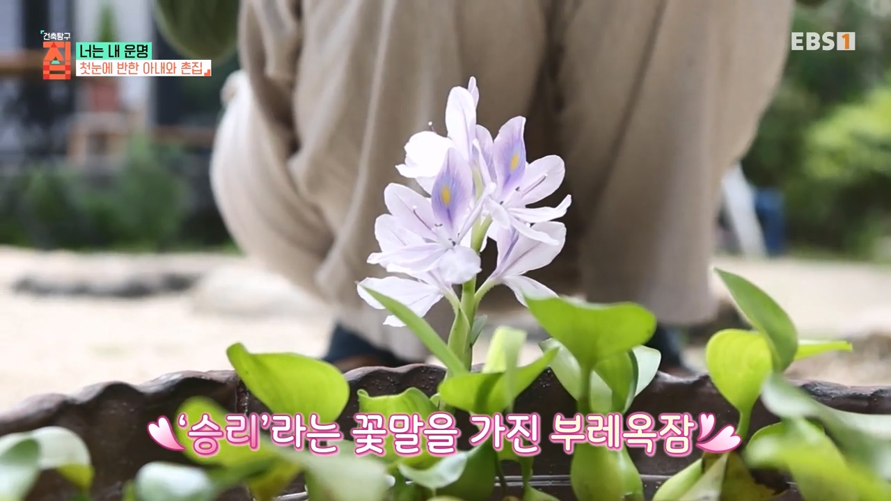 TV - 전 국민의 평생학교 EBS너는 내 운명.mp4_20231123_204528.367.jpg