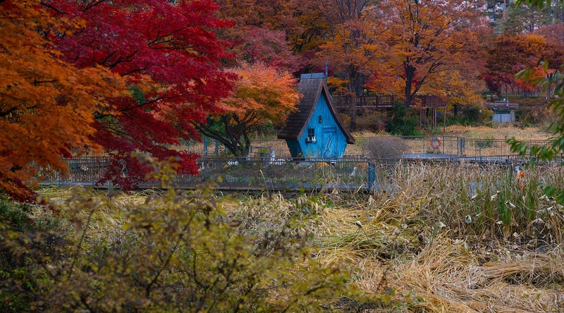 신청 시 주의할 점