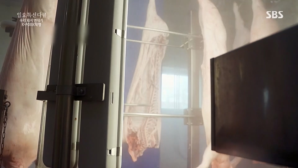 일요 특선 다큐멘터리.E315.230716p.H264-F1RST.mp4_20230717_210618.675.jpg