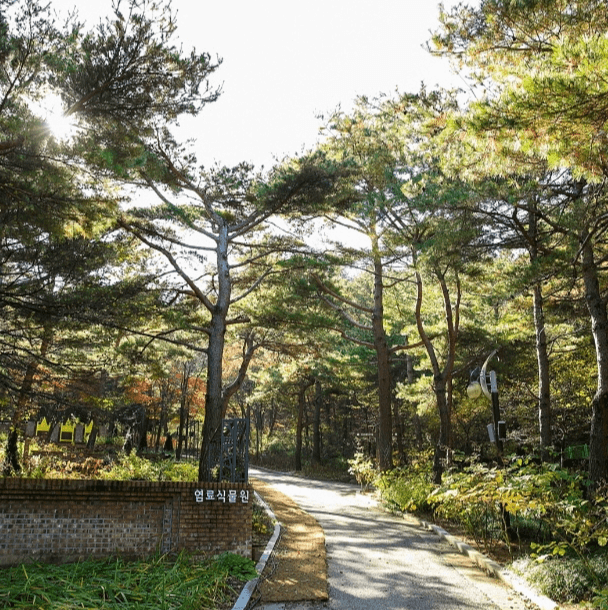 강릉 솔향수목원 계절별로 변화하는 다양한 풍경을 가진 추천여행지