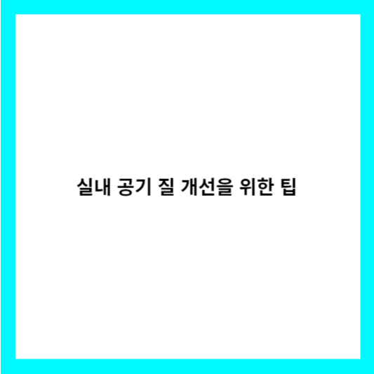 실내 공기 질 개선을 위한 팁