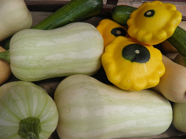 summer squash