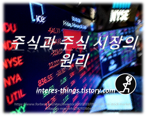  주식과 주식 시장의 원리
