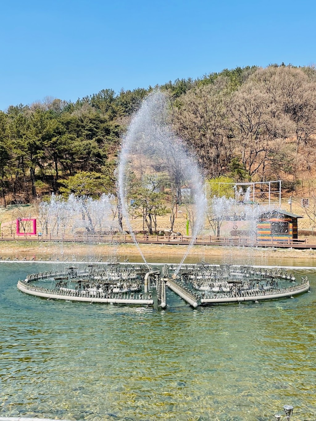  이제야 좀 제대로 된 봄이 왔나보다.