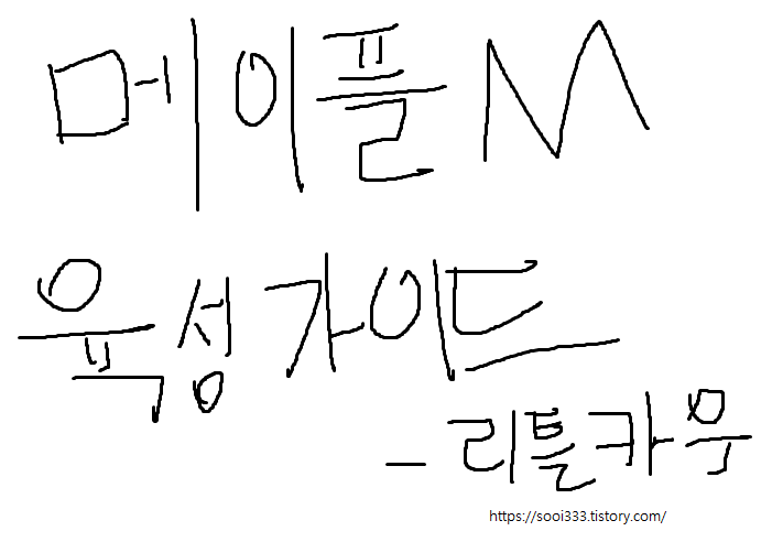  메이플m 패파 140찍먹 후 육성가이드[메M 정착하기]