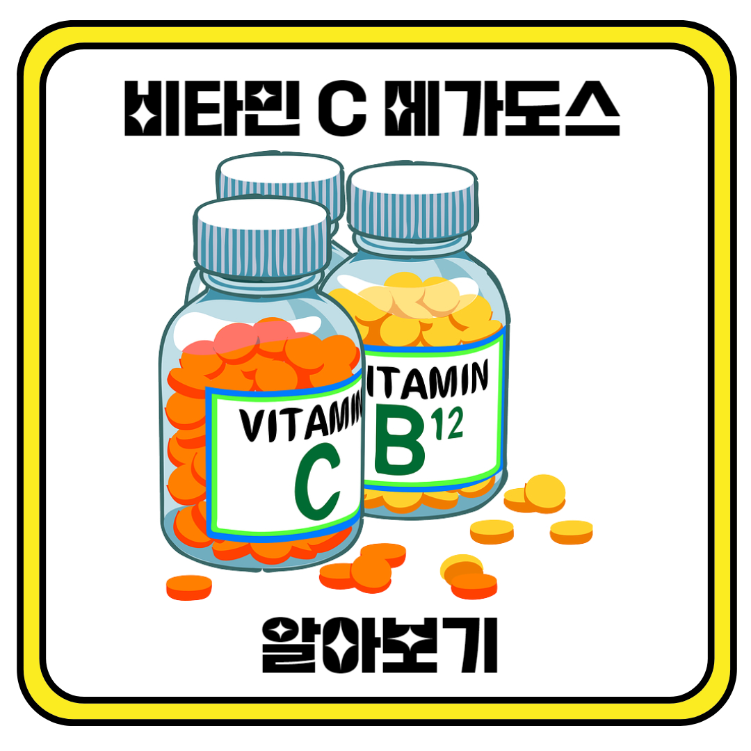 비타민 C 메가도스