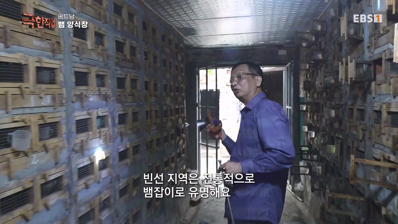 TV - 전 국민의 평생학교 EBS베트남 뱀 마을 사람들.mp4_20240615_170531.474.jpg