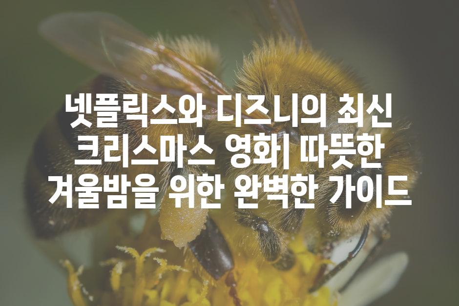 API 할당량 초과 오류 3