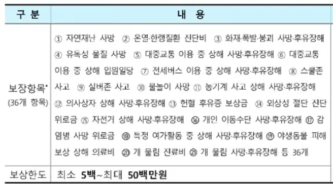 보장항목(36개 항목)