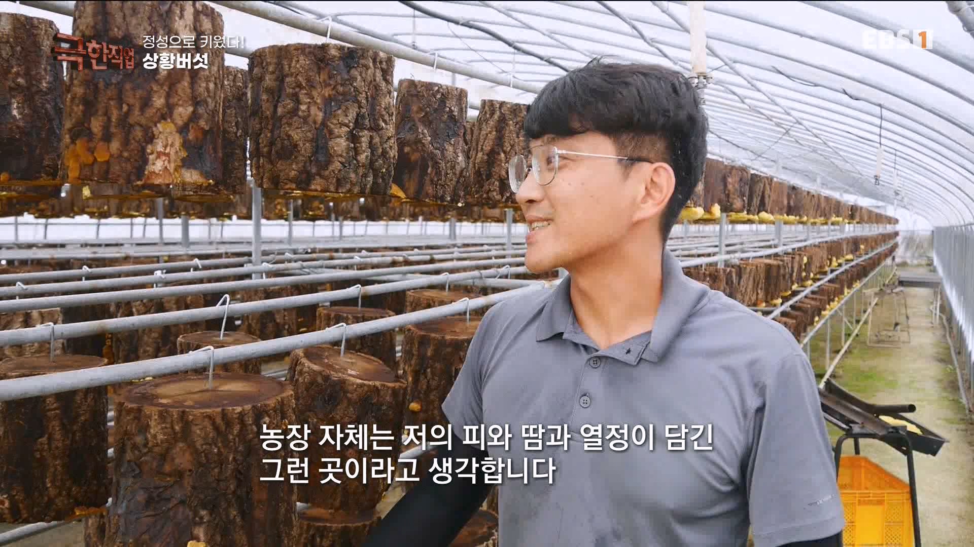 [극한 직업] 상황버섯, 백봉 오골계, 흑염소 230923.mp4_20230925_205239.909.jpg