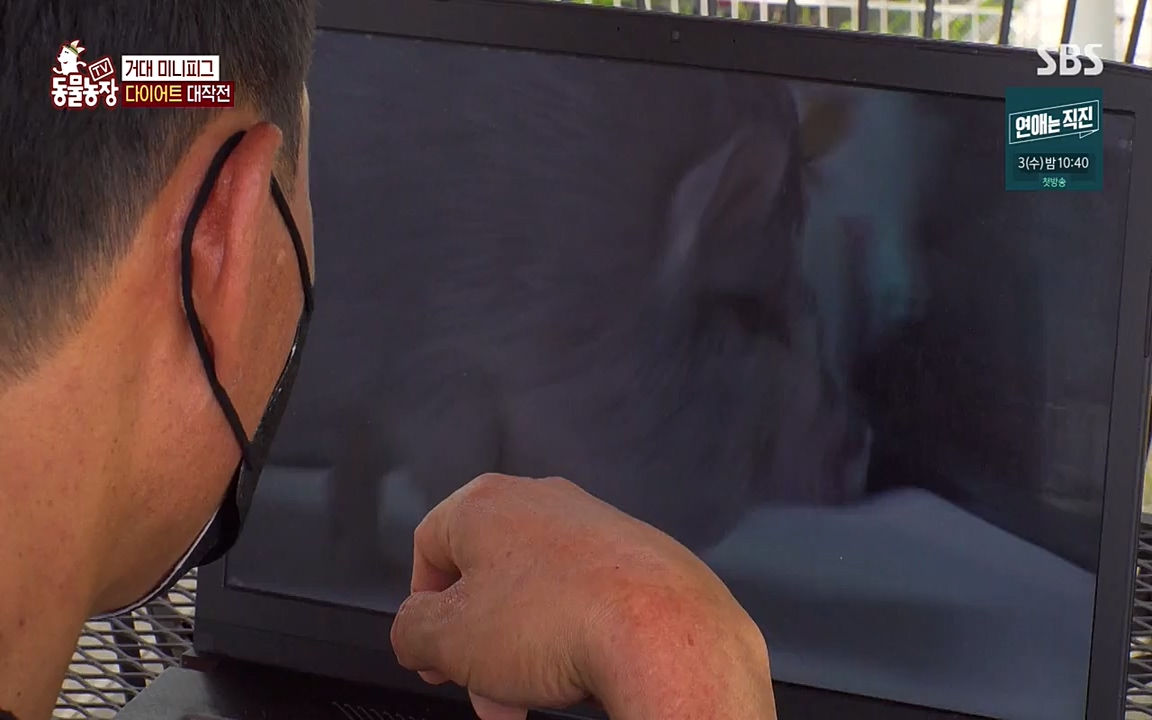 TV 동물농장.E1080.220732p-NEXT.mp4_20220731_174234.117.jpg
