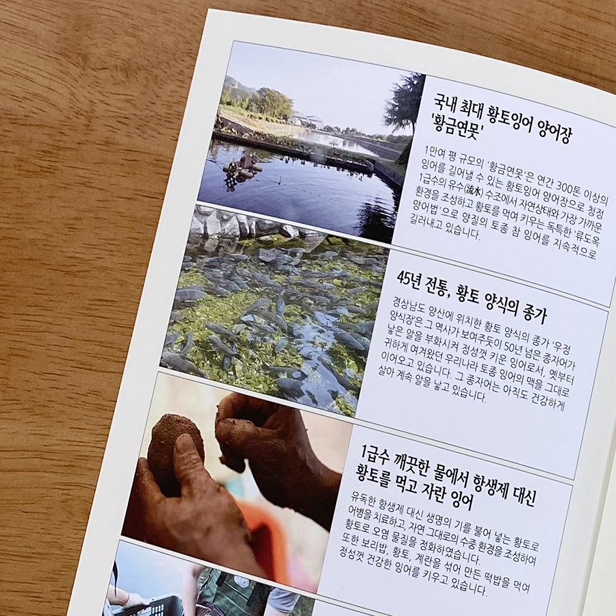 후 좋은 음식 산모잉어즙 출산 2