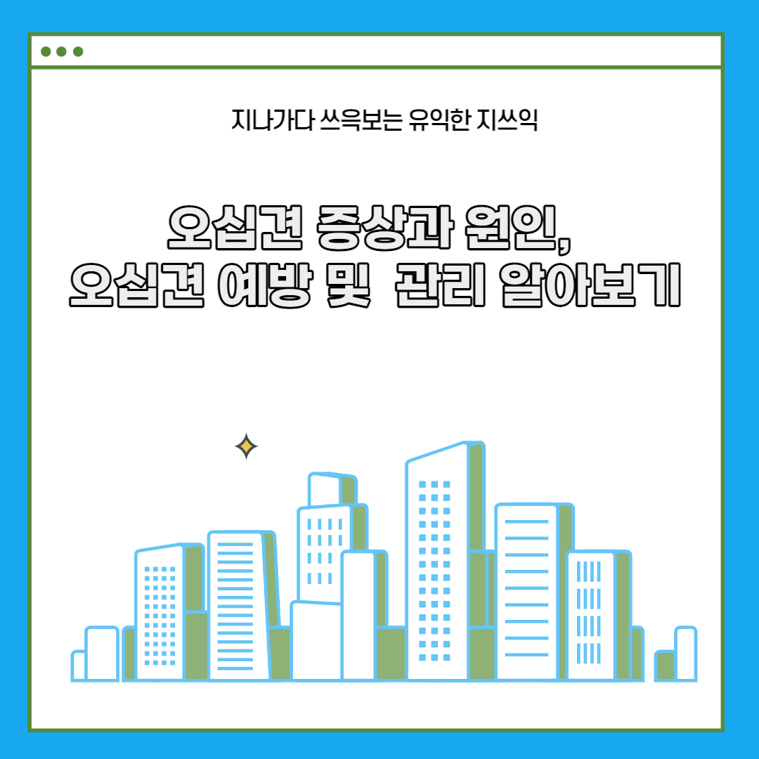 오십견 증상과 원인, 오십견 예방 및 관리 알아보기