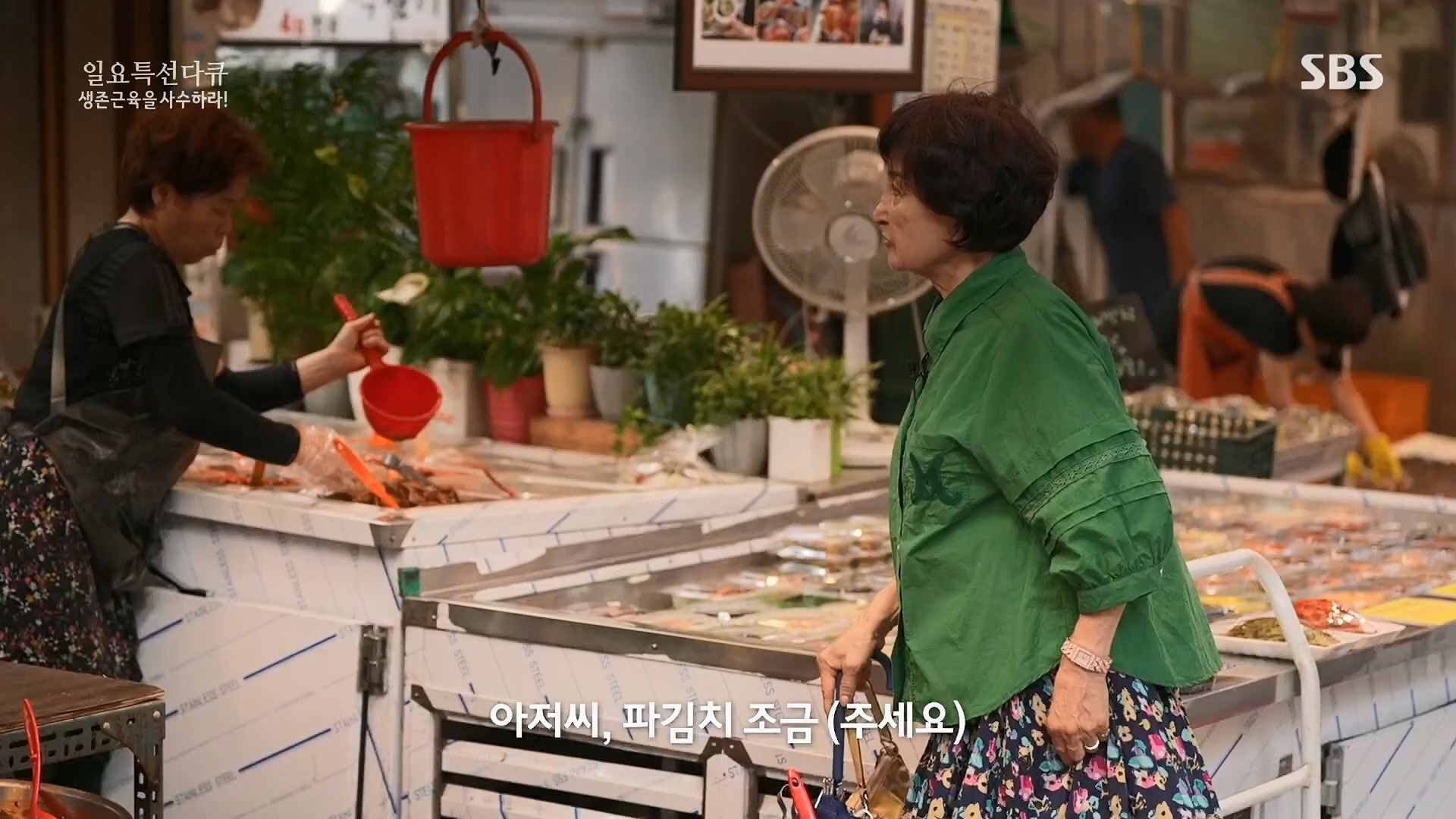 일요 특선 다큐멘터리.E319.230910p.H264-F1RST.mp4_20230918_202634.596.jpg