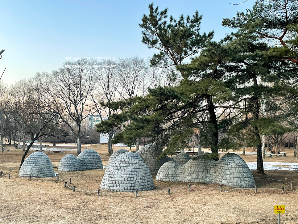 올림픽공원 나홀로나무 사진찍기 좋은곳 서울 가볼만한곳 겨울 18