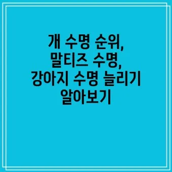 세계 땅 크기 순위 제일 넓은 국가 순위 TOP10_24