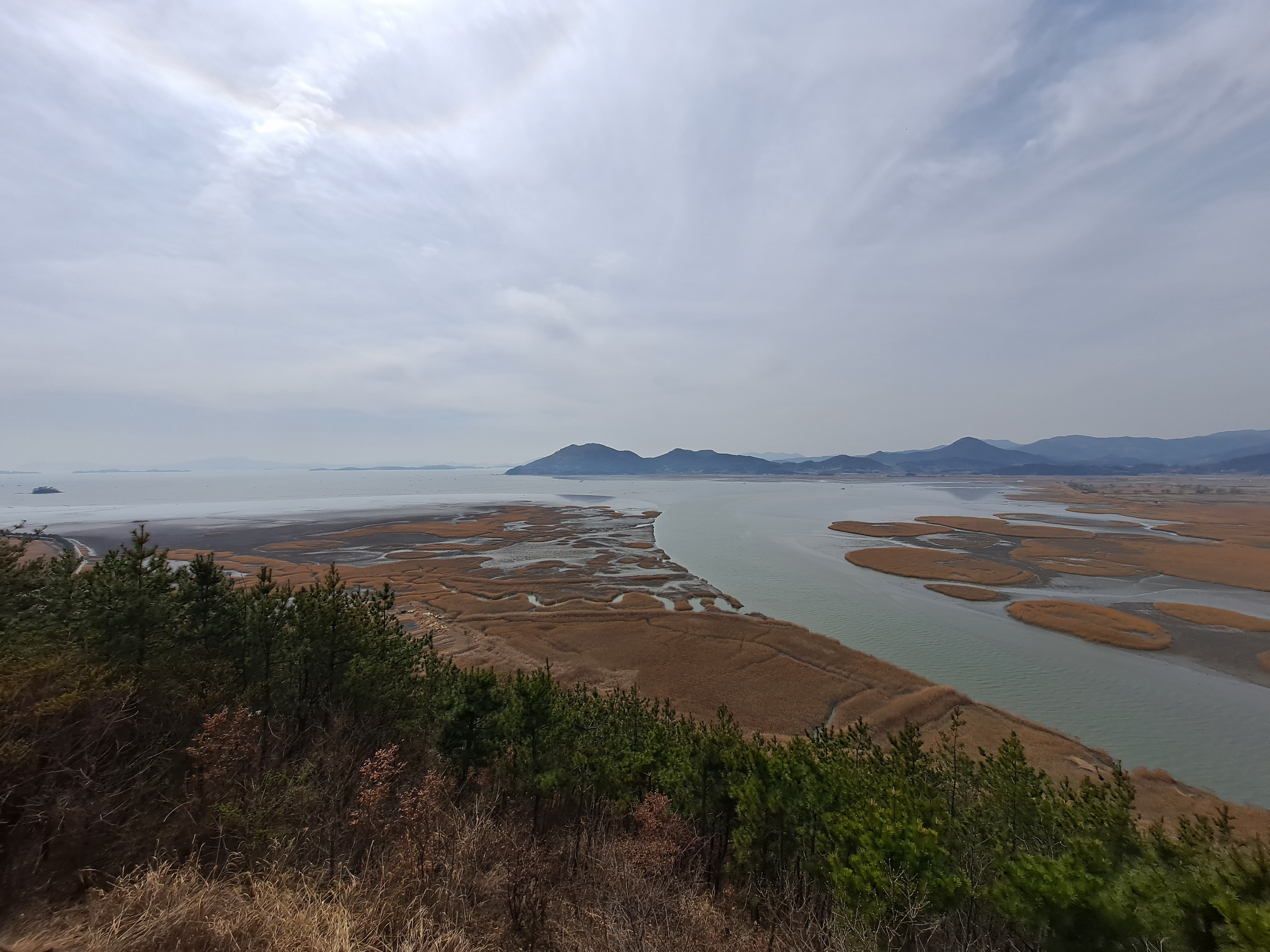  순천만&먹거리