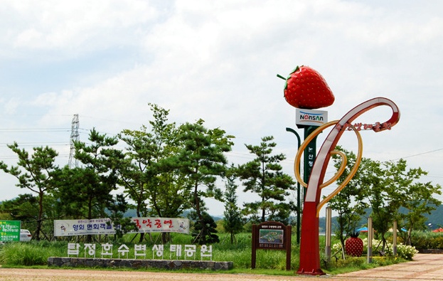  출렁다리 투어, 네 번째 논산 탑정호 출렁다리, 수변공원
