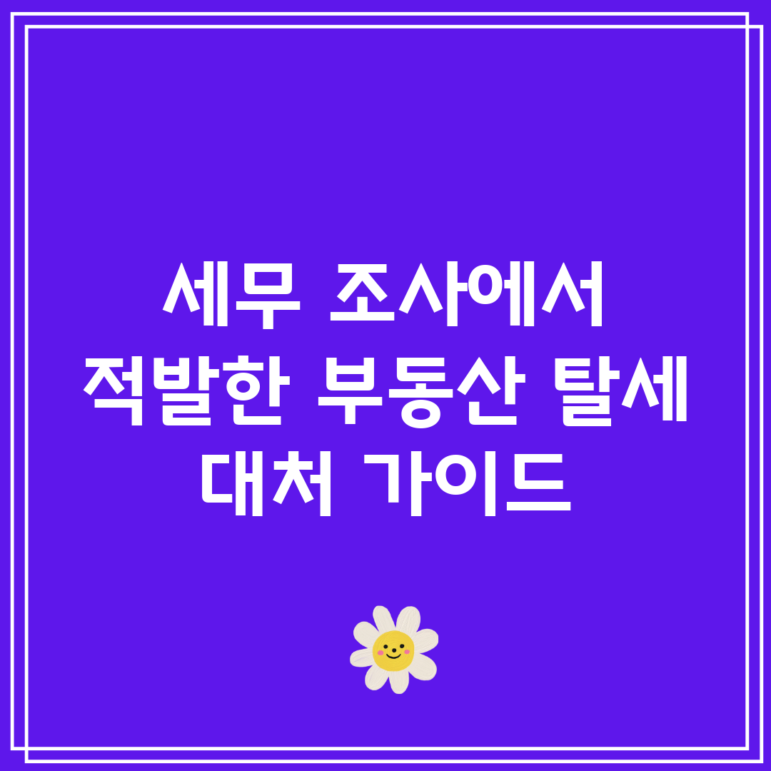 세무 조사에서 적발한 부동산 탈세 대처 가이드