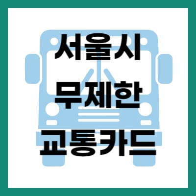 서울시 무제한 교통카드
