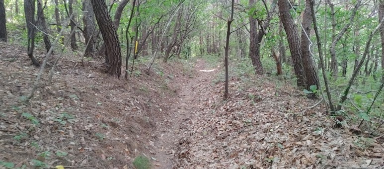 제진검문소 - 통일전망대 출입신고소 해파랑길 50코스 : 17