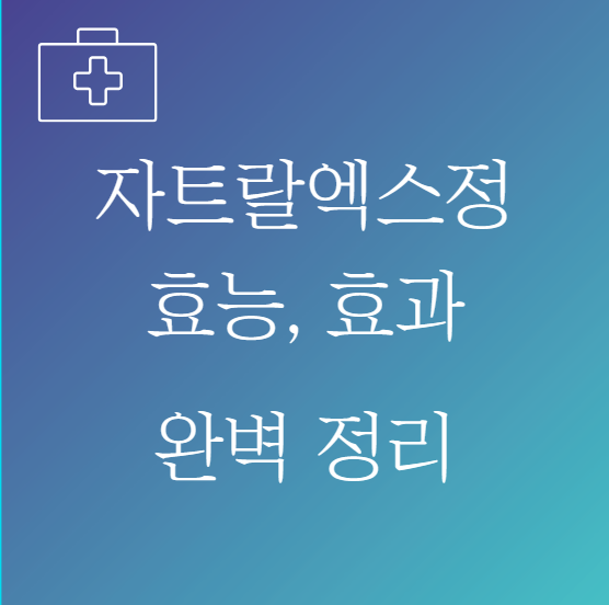 자트랄엑스엘정