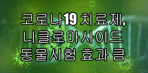  코로나19 치료제, 니클로마사이드 동물시험 효과 큼