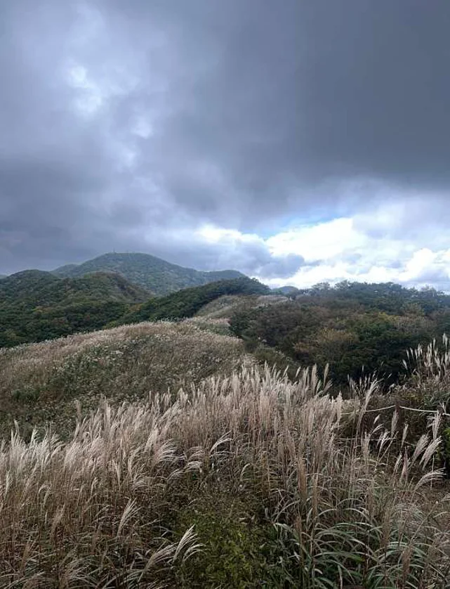 장안산