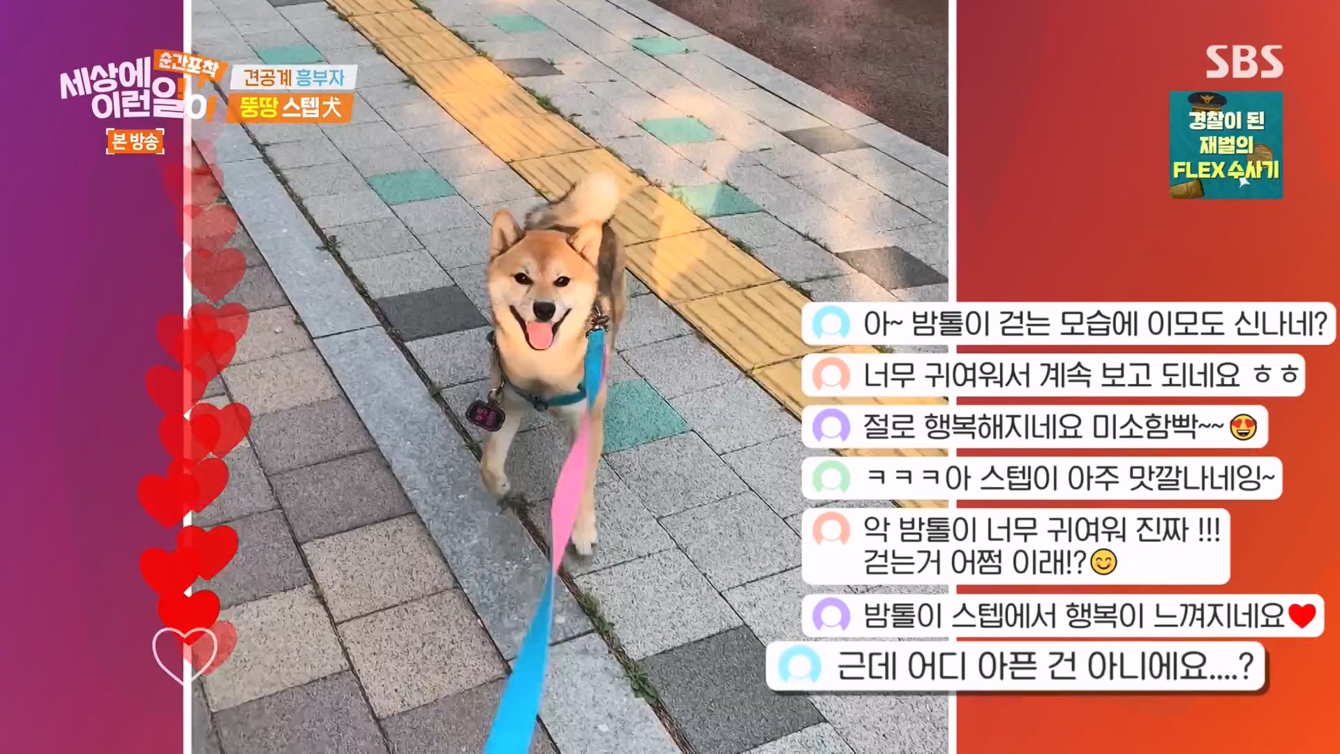 순간포착 세상에 이런일이.E1261.240120p-NEXT.mp4_20240121_133932.136.jpg