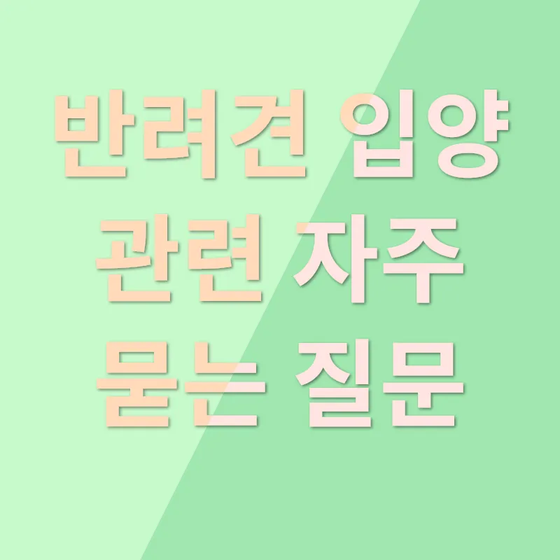 반려견 입양_4