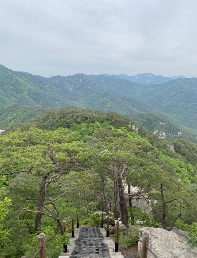 여름산으로 추천하는 괴산 칠보산(778m) 숲속을 거니는 듯 시원해 56